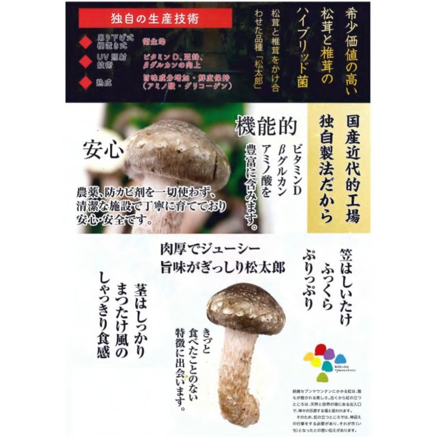 三重県 国産 300g 8 9本 松太郎 松茸 マツタケ 椎茸 菌床 Matsutaro まつたけ と椎茸のハイブリッド菌 きのこ 新種キノコ マツタケ シイタケ Wat5355 日本通販ショッピング 通販 Yahoo ショッピング
