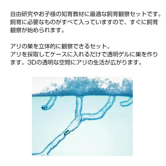アリの巣立体観察セット ニチドウ 飼育観察セット 蟻の巣 自由研究に