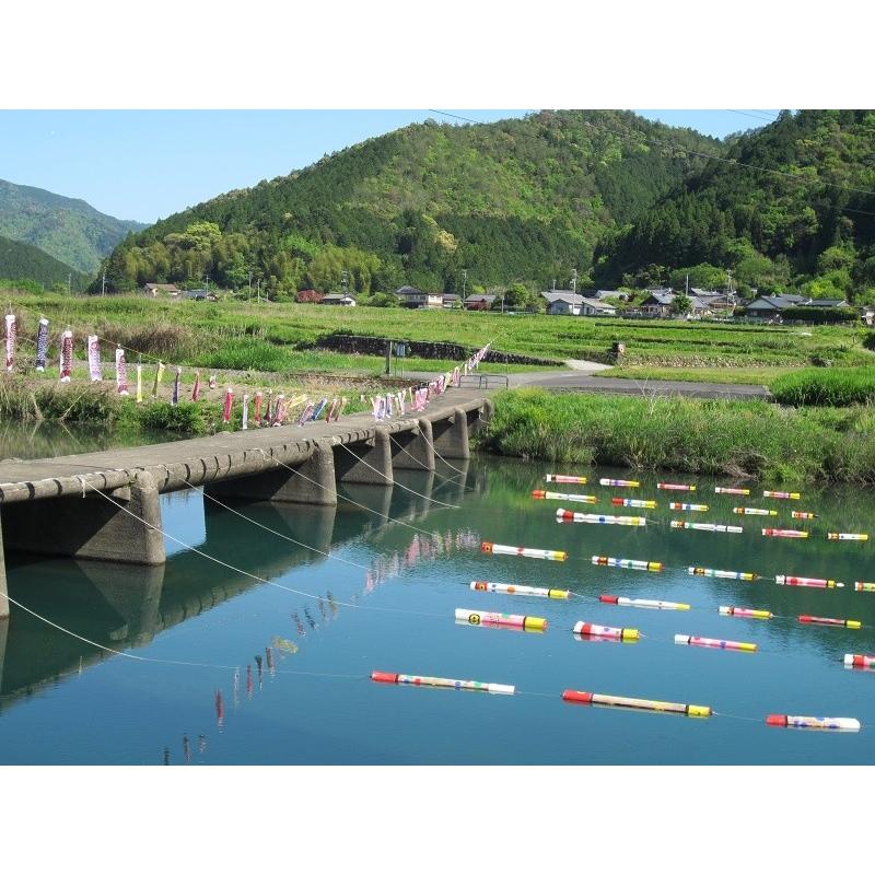 ヒノヒカリ 米10k 令和7年高知県四万十町産 仁井田米 ヒノヒカリ10k