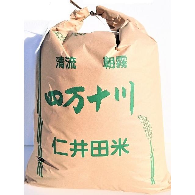 【高知県産】四万十川 仁井田米 玄米 30kg（令和6年産） 高知県 四万十町産 仁井田米 玄米 約30kg (令和7年産新米）本州