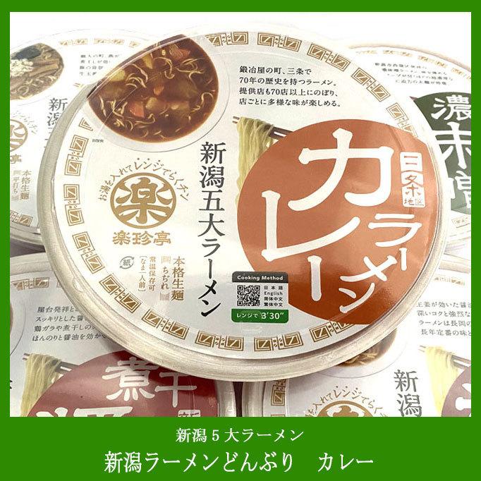 新潟ラーメンどんぶり カレー（麺110g）カレーラーメンスープ付き 