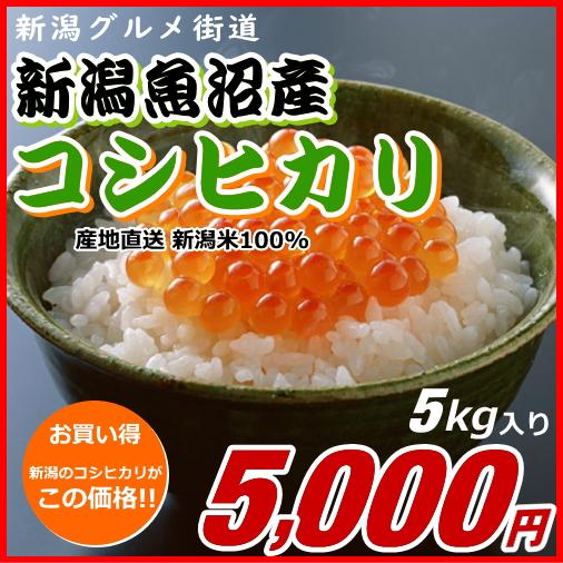 コシヒカリ 魚沼産 5000円分(5キロ) 新潟米 お米 新潟産 産地 コシヒカリ 魚沼産 5000円分(5キロ) 新潟米 お米 新潟産 産地
