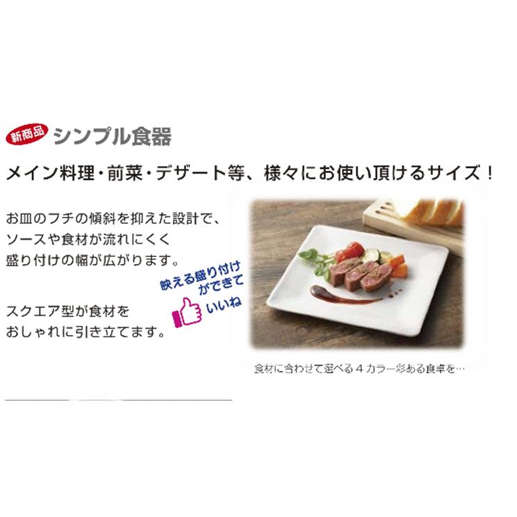 SP-12 スクエアプレート 20 選べる4色 : 新潟キッチン - 通販