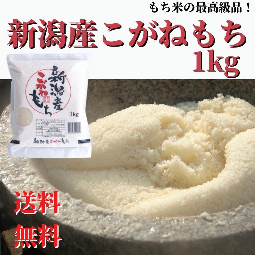 こがねもち 米 もち米 令和7年産 新潟産 こがねもち（もち米） 1kg 
