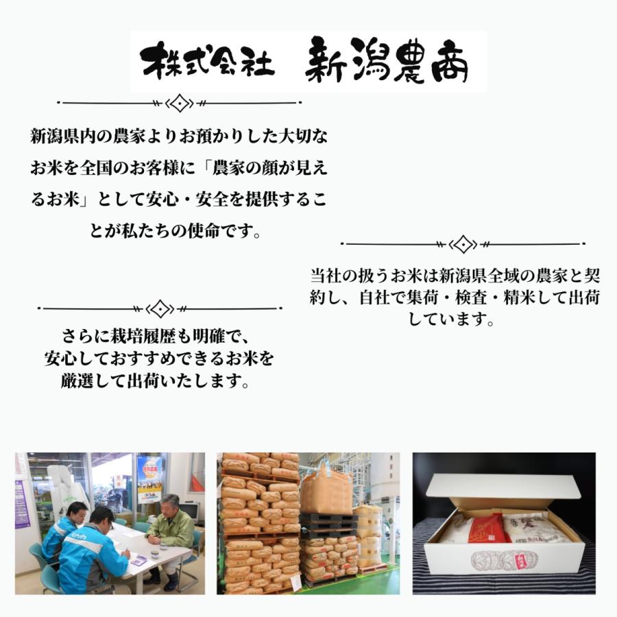 コシヒカリ 【玄米】米 令和7年産 魚沼産 10kg 送料無料 : 新潟農商
