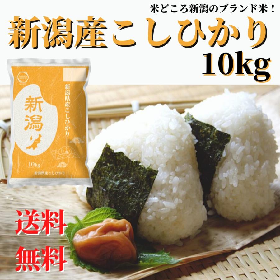 コシヒカリ 新米 令和8年産 米 お米 10kg 白米 送料無料 こしひかり