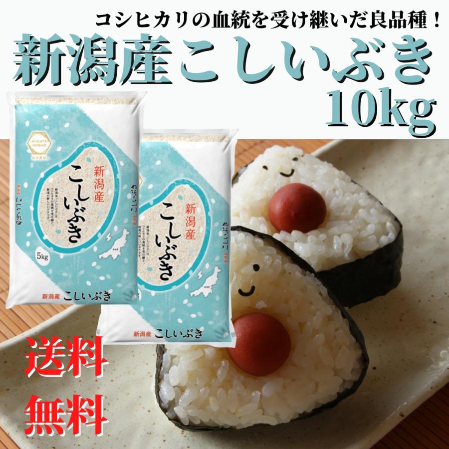 新米 お米 安い 10kg 送料無料 令和4年産 新潟産 こしいぶき 精米 :20710:新潟農商 - 通販 - Yahoo!ショッピング 新米 お米 安い 10kg 送料無料 令和4年産 新潟産 こしいぶき 精米 :20710:新潟農商 - 通販 - Yahoo!ショッピング