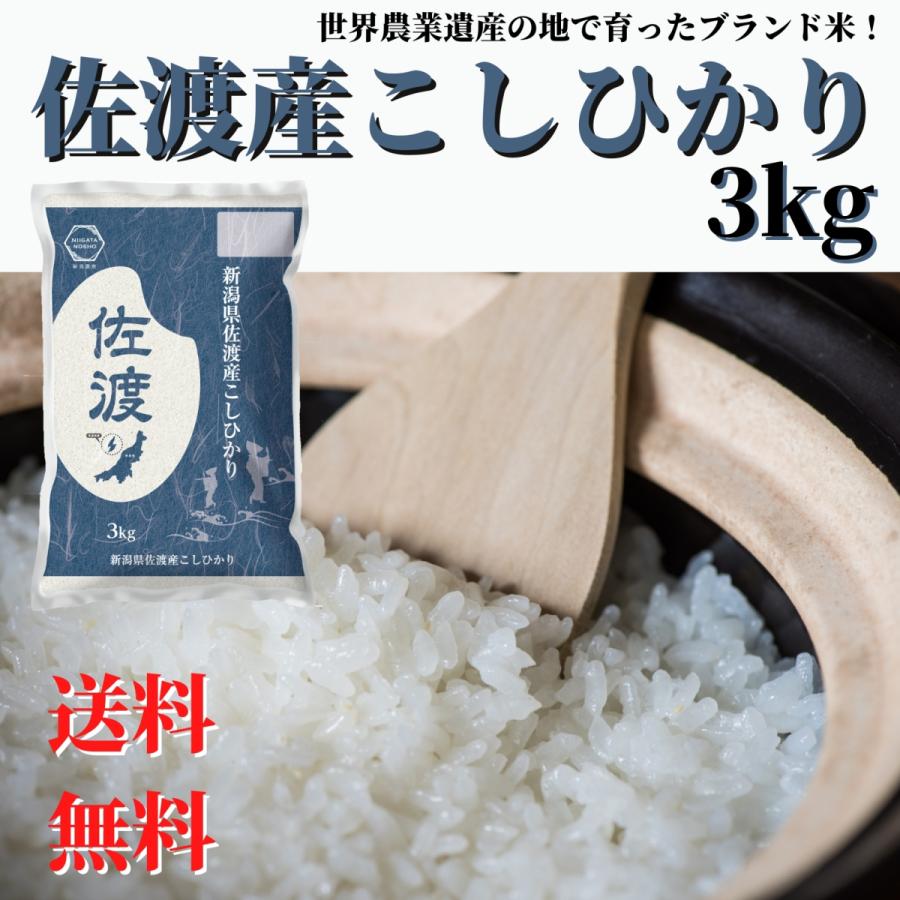 岐阜県産 令和6年産 コシヒカリ中米 訳あり 精米 白米
