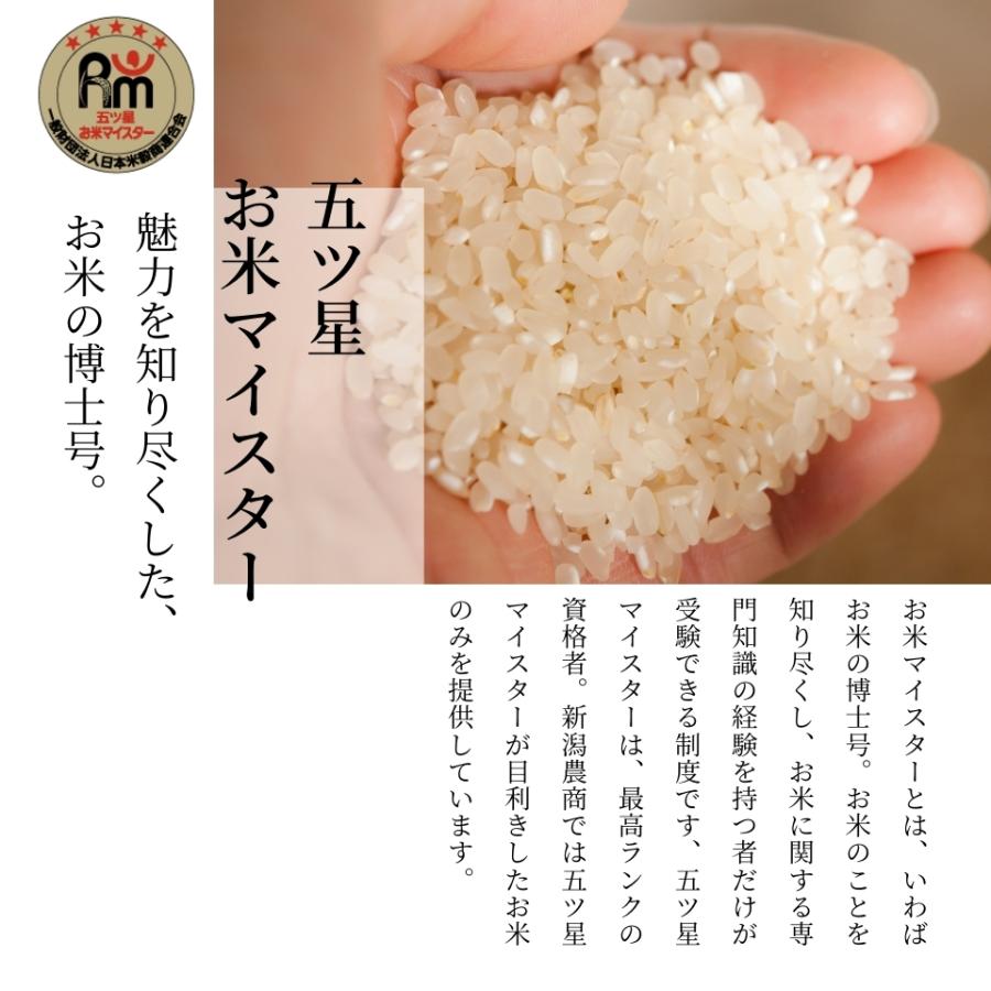 コシヒカリ 米 令和7年産 米 お米 10kg 新潟 岩船産 精米 : 新潟農商