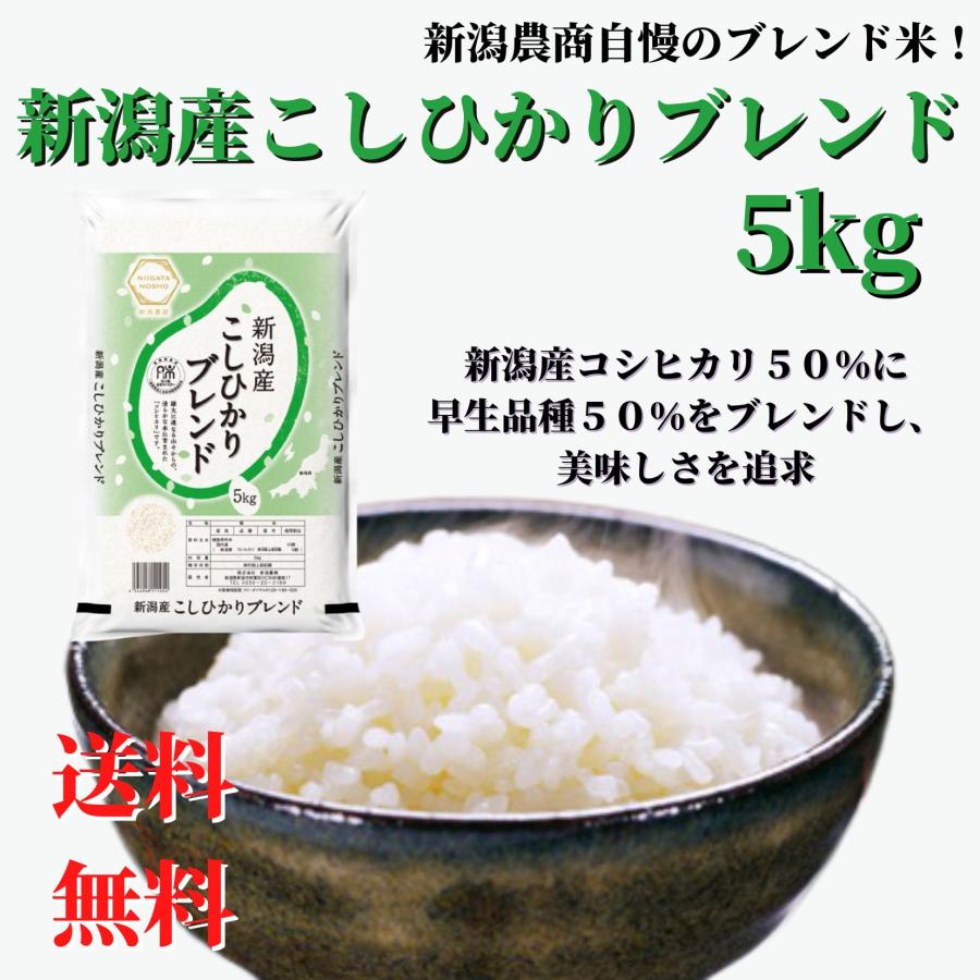コシヒカリ 米 令和6年産 お米 5kg 白米 送料無料 安い お手頃 コシヒカリ 米 令和6年産 お米 5kg 白米 送料無料 安い お手頃