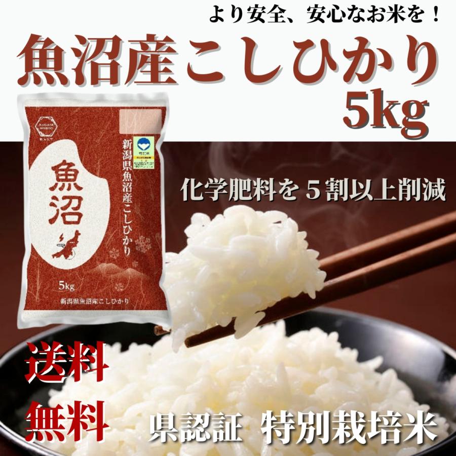 コシヒカリ 米 令和6年産 お米 5kg 白米 送料無料 新潟県認証 特別 