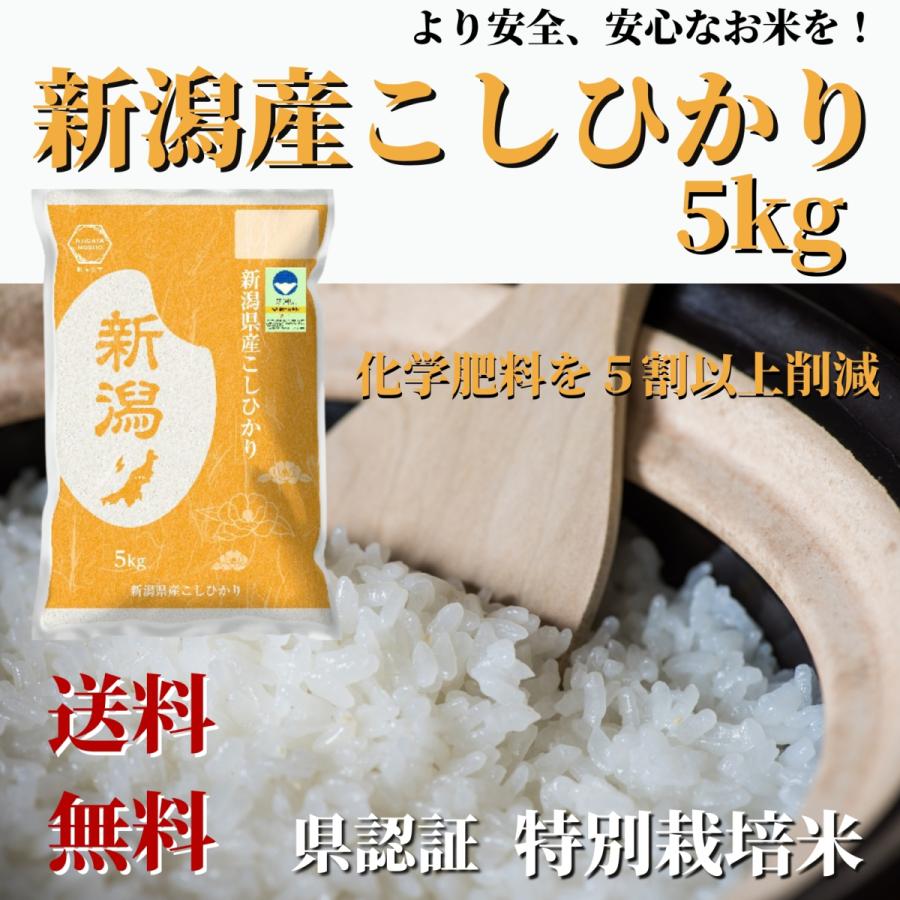 コシヒカリ 米 令和6年産 お米 5kg 新潟県認証 特別栽培米 新潟産 