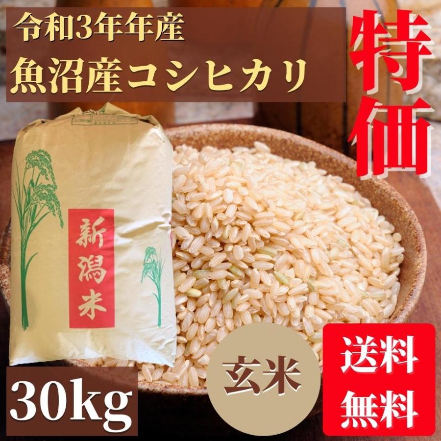 令和4年産　玄米新潟コシヒカリ30kg（10k×3）精米無料★農家直送16