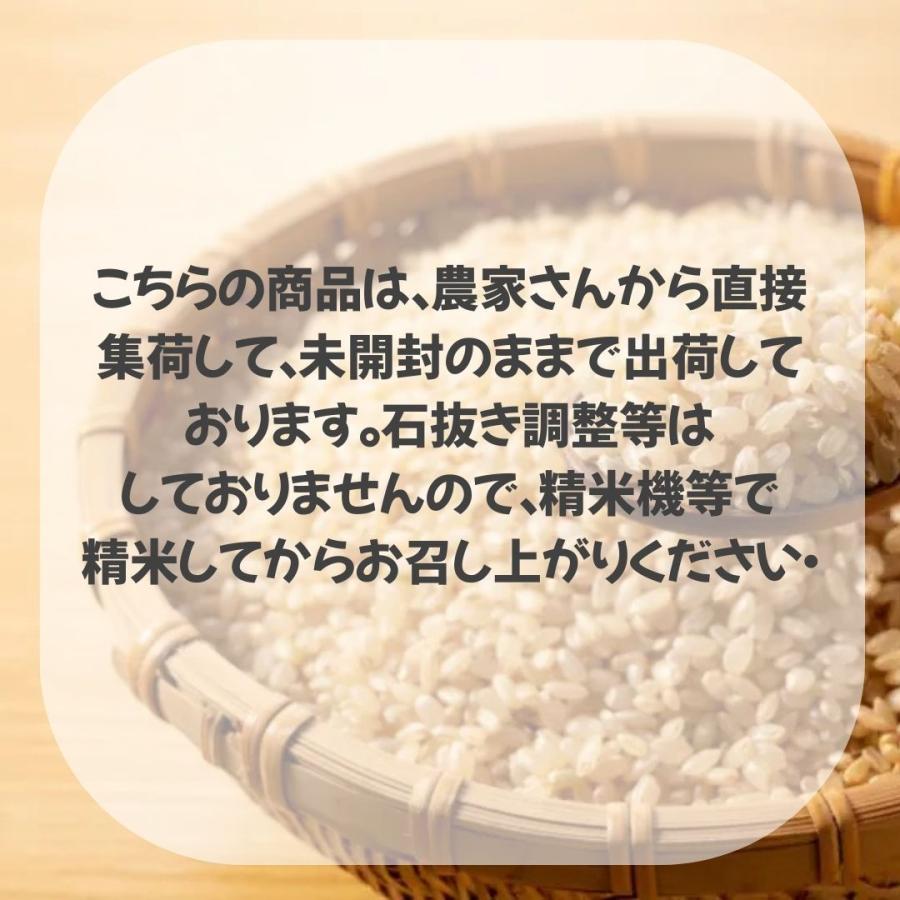 コシヒカリ 特別価格！ 令和7年産 新潟産コシヒカリ 玄米 30kg 一等米