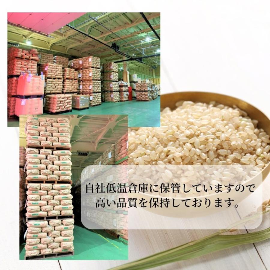 コシヒカリ 特別価格！ 令和7年産 新潟産コシヒカリ 玄米 30kg 一等米