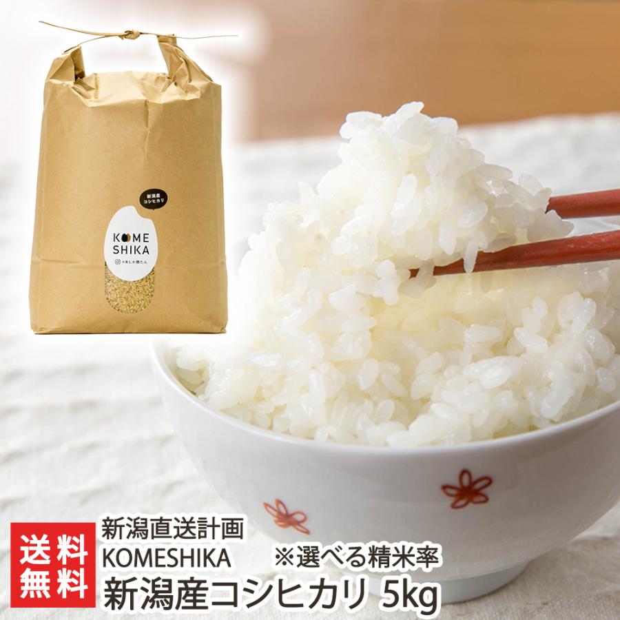 コシヒカリ 令和6年度産米 分づき米 新潟産コシヒカリ 5kg
