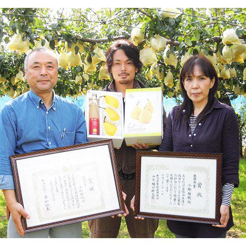 新潟県産最高級ル・レクチェ果汁100%ジュース500ml×3本セット 新潟県産最高級ル・レクチェ果汁100%ジュース500ml×3本セット