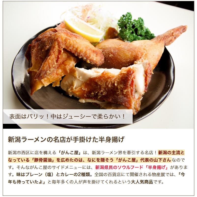 半身揚げ 1個入り（プレーン or カレー味） ※2種類からお選びください/ら〜めん処 がんこ屋/送料無料 |  | 02