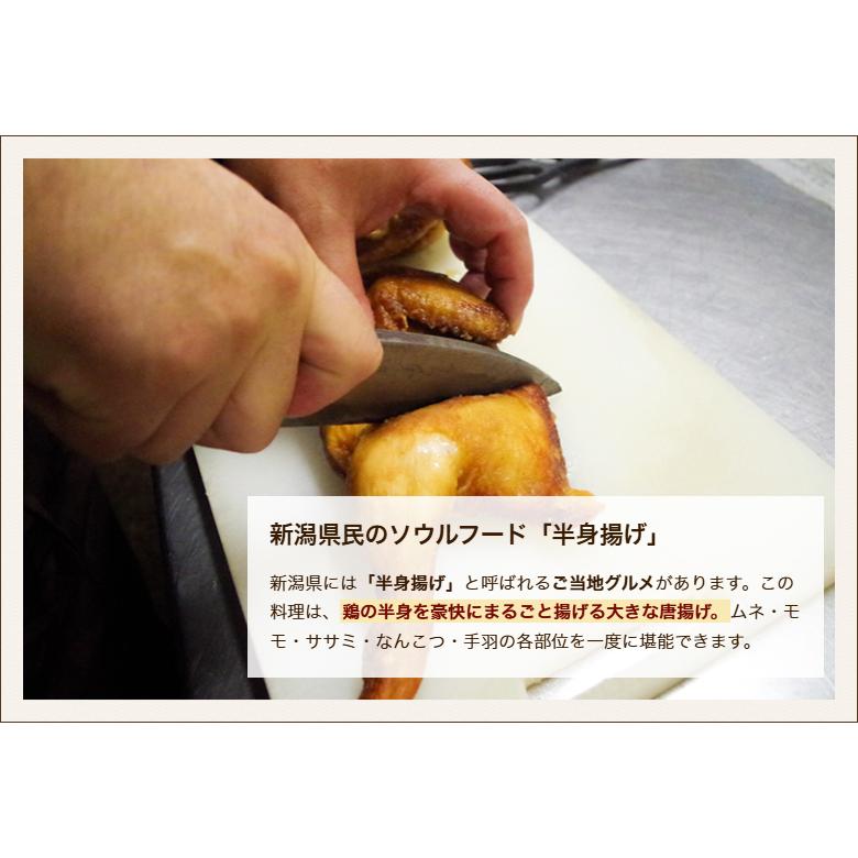 半身揚げ 1個入り（プレーン or カレー味） ※2種類からお選びください/ら〜めん処 がんこ屋/送料無料 |  | 03