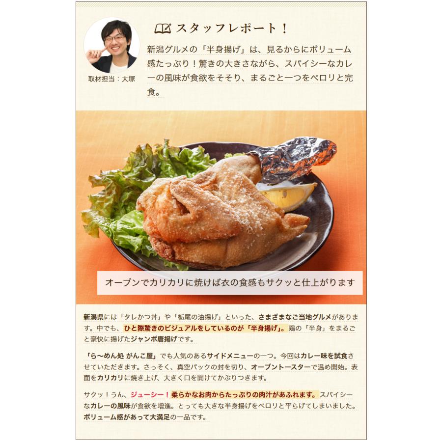 半身揚げ 1個入り（プレーン or カレー味） ※2種類からお選びください/ら〜めん処 がんこ屋/送料無料 |  | 06