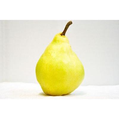 贈答用 新潟県産ル・レクチェ4kg（8〜12個） 土田農園 幻の洋梨