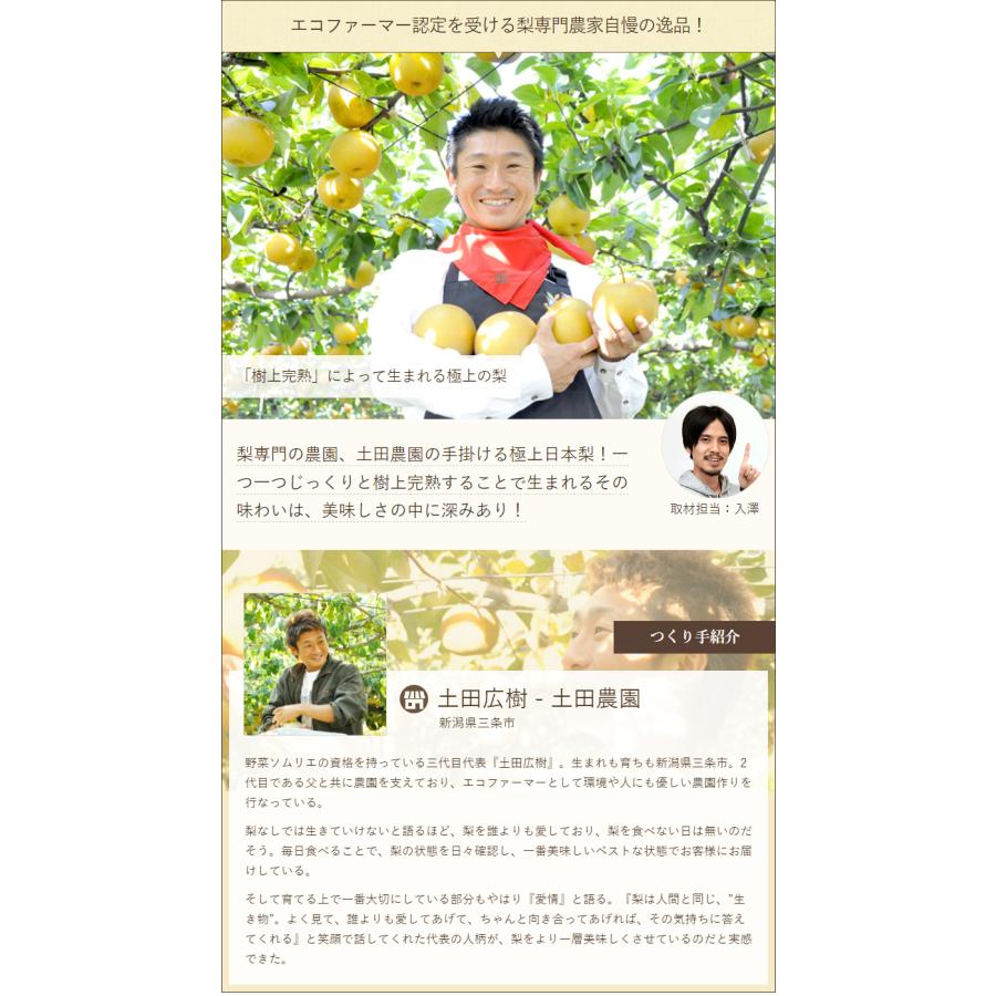 【贈答用】幸水5kg/土田農園/送料無料｜niigata-shop｜02