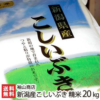 【令和7年度米】米屋の蔵出し米 新潟産こしいぶき 精米20kg (5kg袋×4) 袖山商店/ギフトにも！/のし無料/送料無料