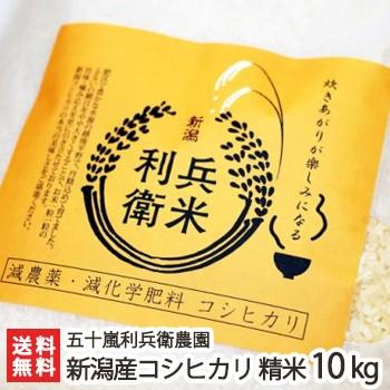 コシヒカリ 【令和7年度米】減農薬・減化学肥料 新潟産 炊きあがりが