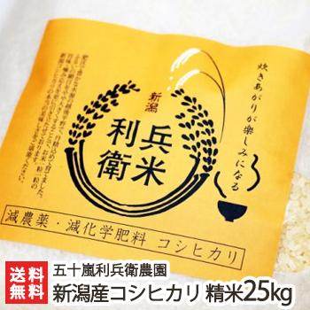コシヒカリ 【令和7年度米】減農薬・減化学肥料 新潟産 炊きあがりが