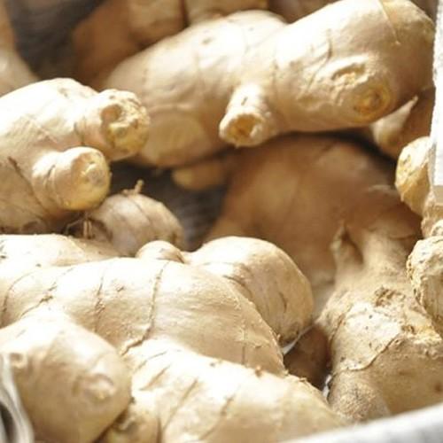 大根からし巻き 150g 選べる5点セット 新潟特産漬物 秘密のケンミンショ で紹介 御歳暮にも ギフトにも のし無料 送料無料 0024 001 04 新潟直送計画 通販 Yahoo ショッピング