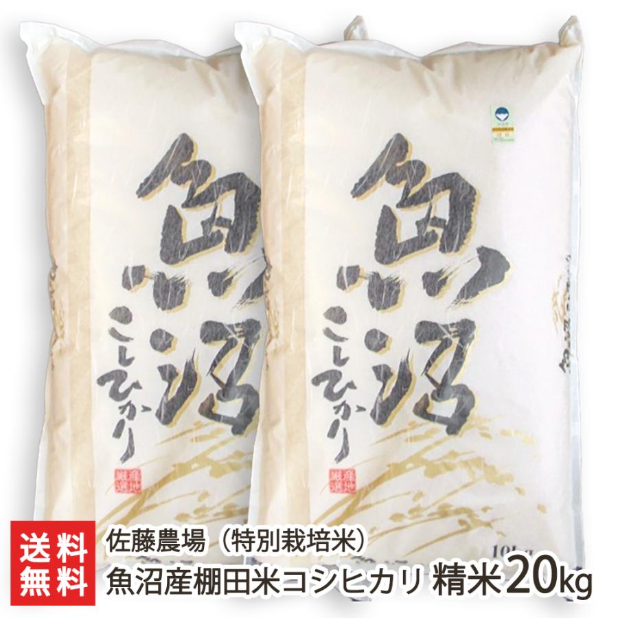 コシヒカリ 令和6年度産米 特別栽培米(減農薬・減化学肥料 コシヒカリ 令和6年度産米 特別栽培米(減農薬・減化学肥料
