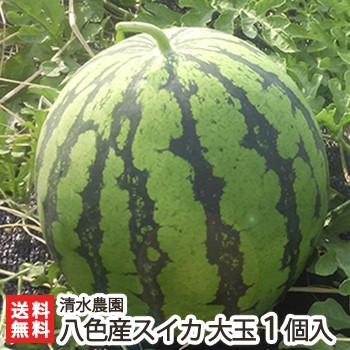 南魚沼 八色産スイカ 大玉2Ｌサイズ1個入り（1個7〜8kg前後） 7月下旬〜発送/ギフトに！/送料無料