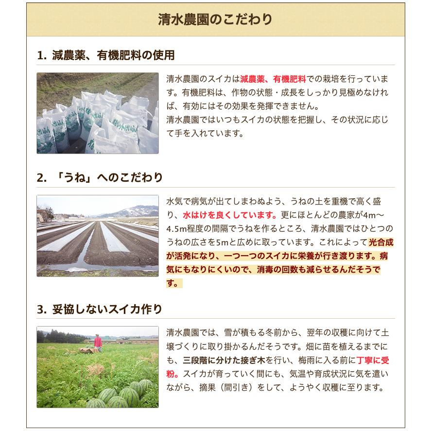 南魚沼産スイカ 黄大玉「金色羅皇」1個入り/清水農園/送料無料 父の日 お中元｜niigata-shop｜06