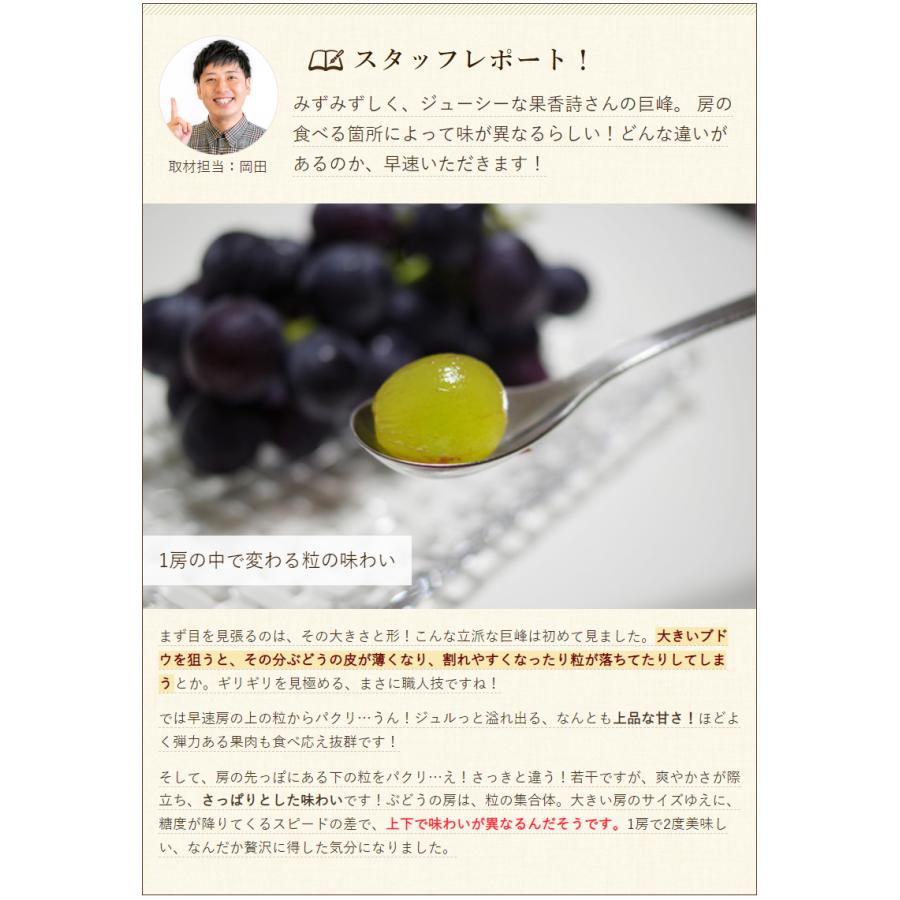 新潟産 巨峰 種なし 2kg（5〜7房）/株式会社 果香詩 /送料無料 : 新潟