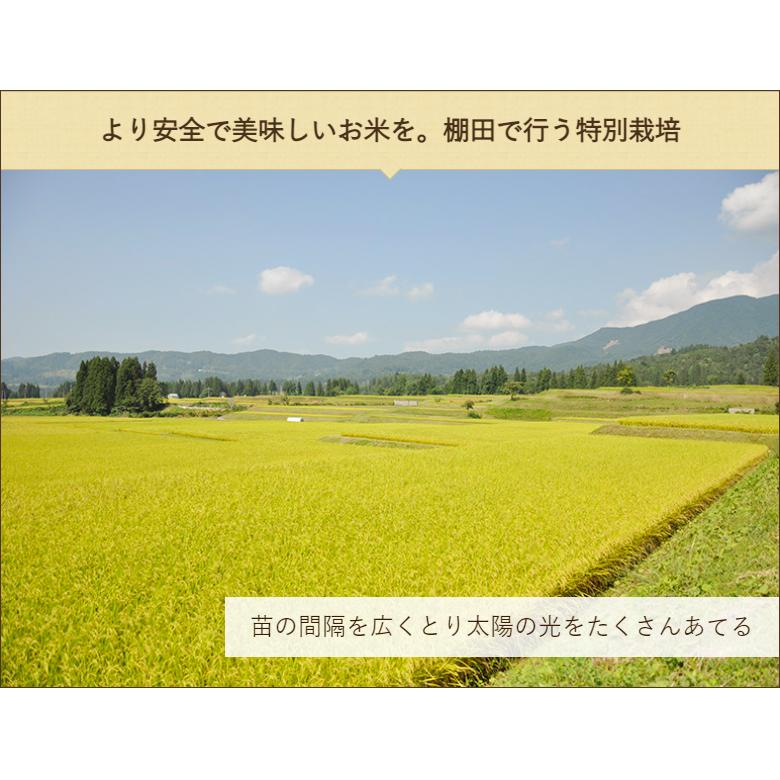 【令和5年度米】特別栽培米（減農薬・減化学肥料）魚沼産 惣五郎米コシヒカリ 精米5kg/魚沼耕房/送料無料 父の日 お中元｜niigata-shop｜05