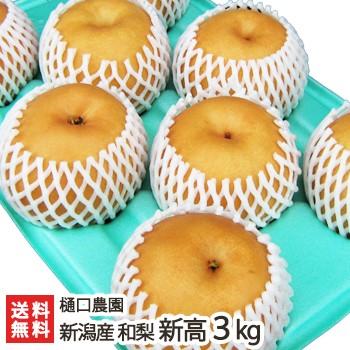 新潟県産 梨 新高 3kg（5〜6玉） 樋口農園/ギフトにも！/のし無料/送料無料｜niigata-shop