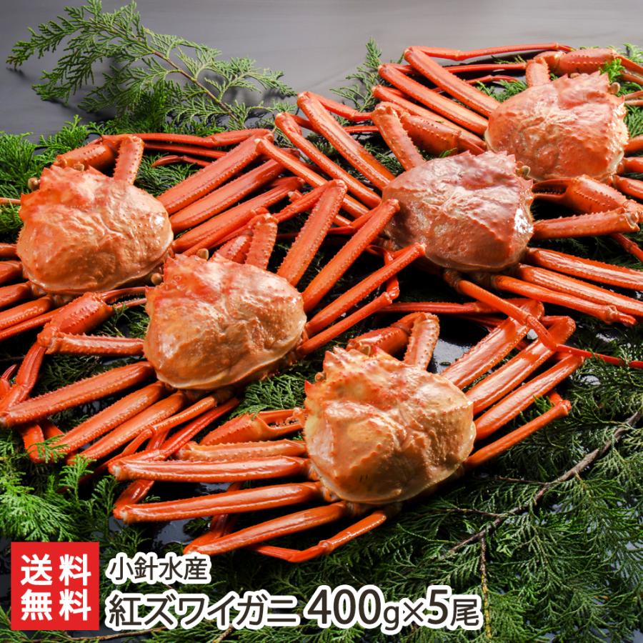 日本海産 紅ズワイガニ ４００g ５尾 新潟の蟹屋 小針水産 かに カニ 紅ズワイガニ 父の日にも ギフトにも のし無料 送料無料 0049 001 03 新潟直送計画 通販 Yahoo ショッピング