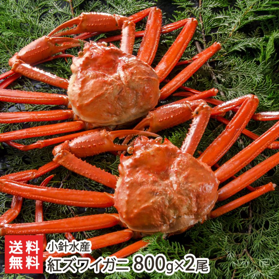 紅ズワイガニ海老美さん専用 紅ズワイガニ 800g×2尾 /小針水産/送料無料 : 新潟直送計画 Yahoo