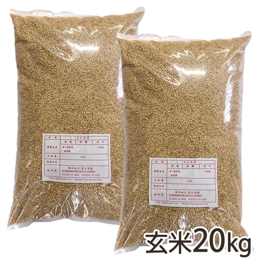 令和6年度新米】新潟産 特別栽培米（減農薬・減化学肥料）コシヒカリ  