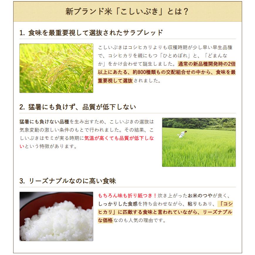 【令和5年度米】新潟産 特別栽培米（減農薬・減化学肥料）こしいぶき 無洗米2kg/徳永農園/送料無料 父の日 お中元｜niigata-shop｜04