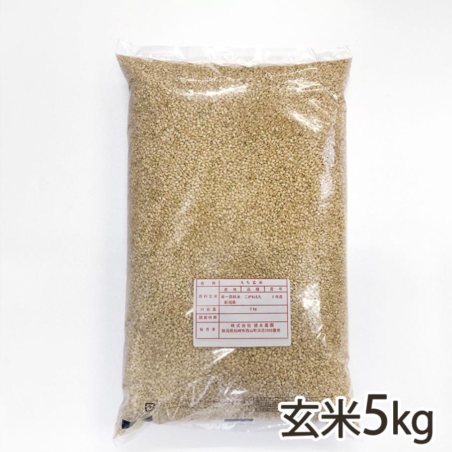 農家直送！！令和6年度 玄米 10kg みやこがねもち