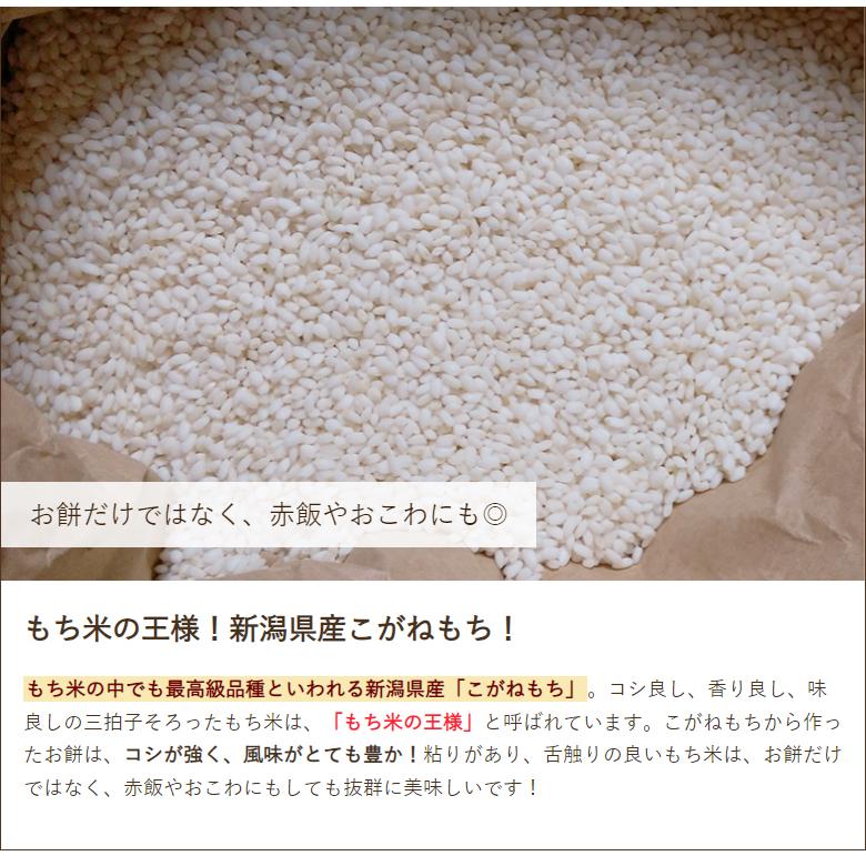 【令和5年度米】新潟産 特別栽培米（減農薬・減化学肥料）こがねもち 玄米5kg 徳永農園 もち米/ギフトにも！/のし無料/送料無料｜niigata-shop｜03