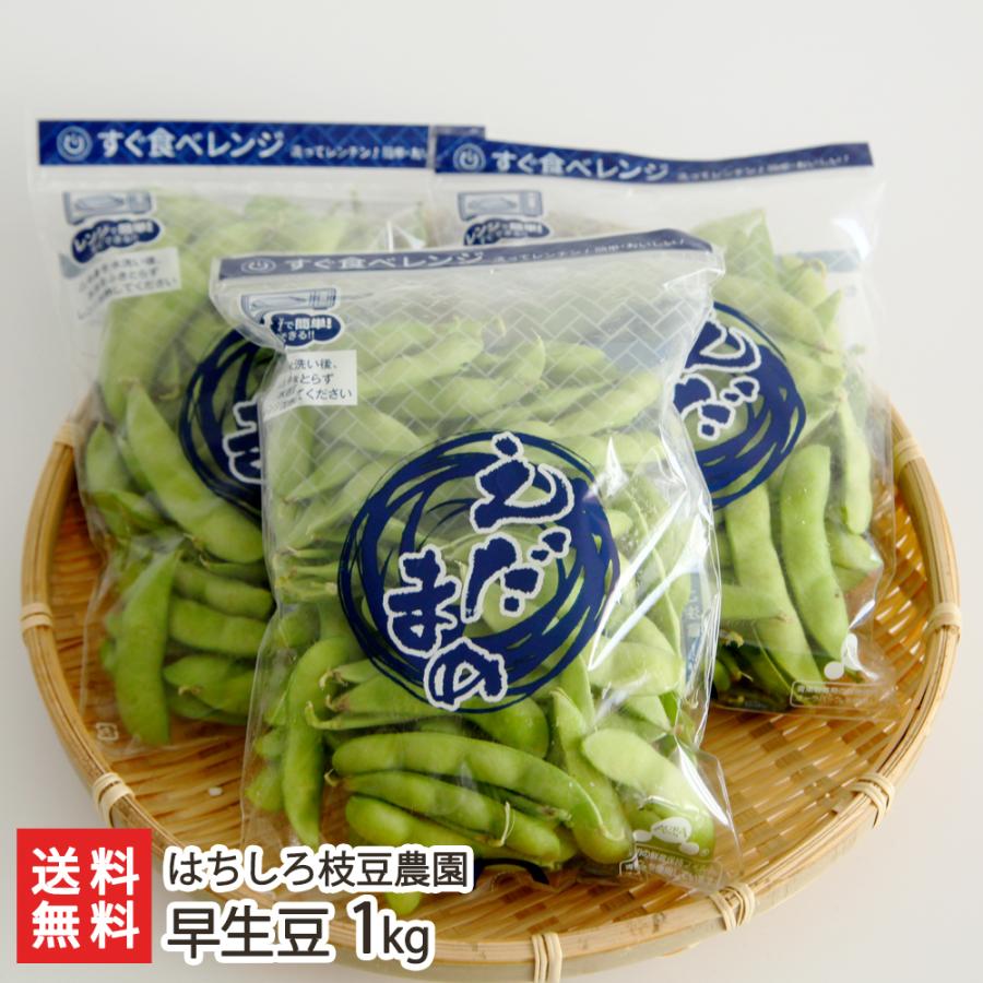 早生豆1kg（250g×4袋）/えだまめ/はちしろ枝豆農園/送料無料｜niigata-shop