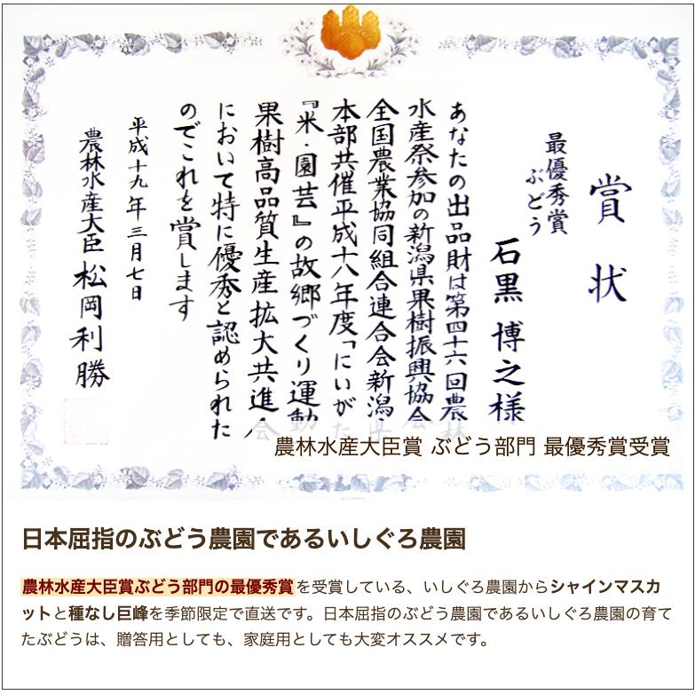 新潟県産 種なし巨峰 1房 化粧箱入/ぶどう/後払い不可/ギフトにも！/のし無料/送料無料｜niigata-shop｜05