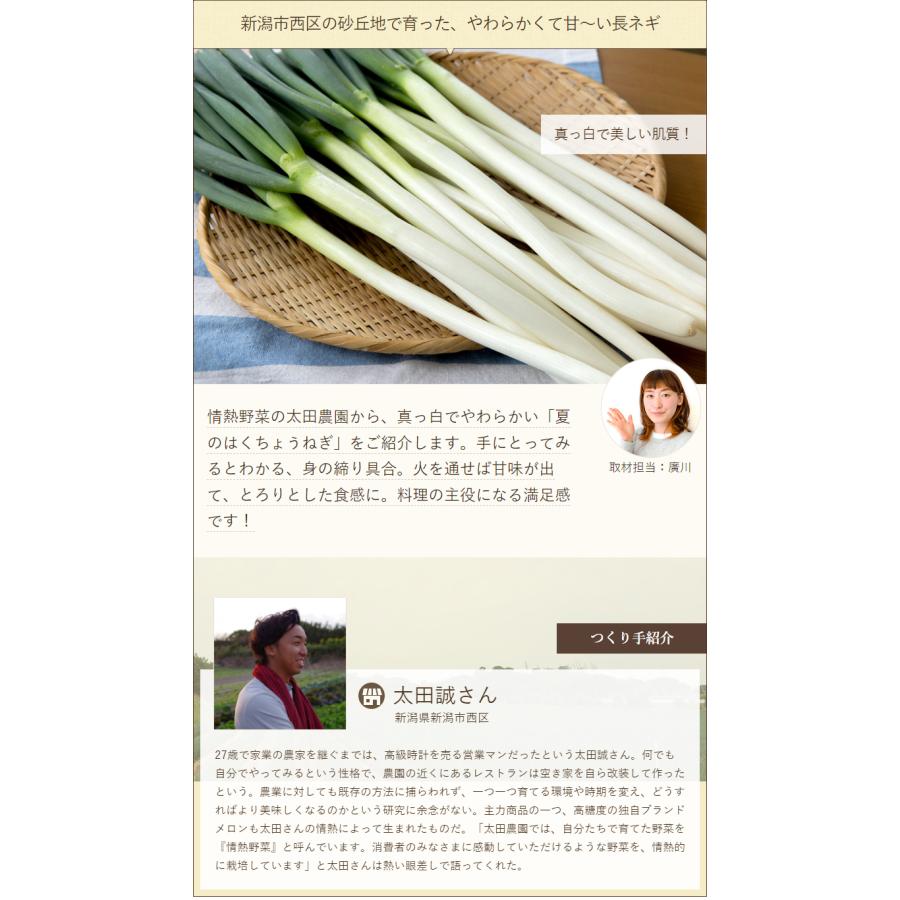 長ネギ Lサイズ 45本入り/情熱野菜の太田農園/送料無料 : 新潟直送計画