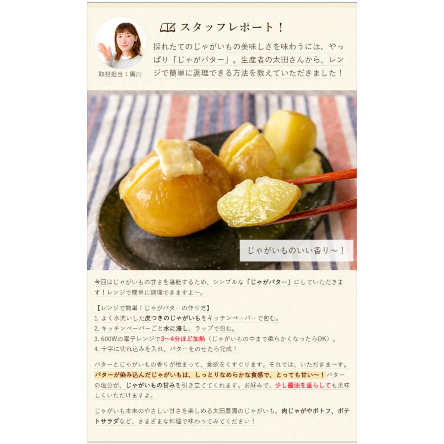 新潟県産 じゃがいも 2Lサイズ 3kg/情熱野菜の太田農園/送料無料