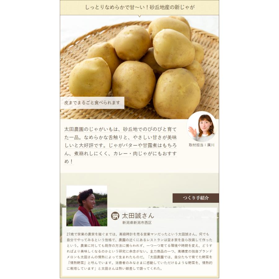 訳あり】新潟県産 じゃがいも 10kg/情熱野菜の太田農園/送料無料