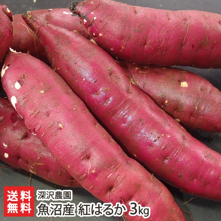 魚沼産 紅はるか 3kg（1本あたり80〜300g）/深沢農園/送料無料 : 新潟
