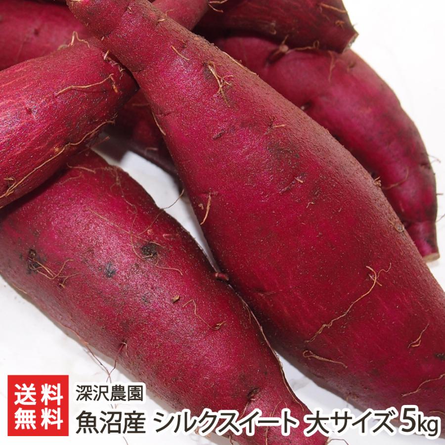 魚沼産 シルクスイート 大サイズ 5kg（1本あたり300〜600g）/深沢農園