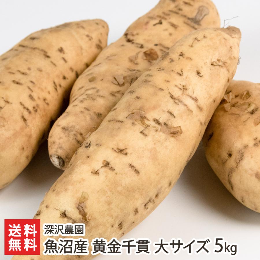 魚沼産 低温熟成さつまいも 黄金千貫 こがねせんがん 大サイズ 5kg 深沢農園 サツマイモ 薩摩芋 御歳暮にも ギフトにも のし無料 送料無料 0068 002 08 新潟直送計画 通販 Yahoo ショッピング